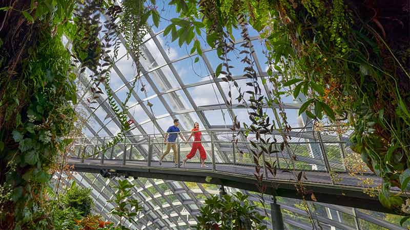 CLOUD FOREST - GARDENS BY THE BAY - YOUNG COUPLE